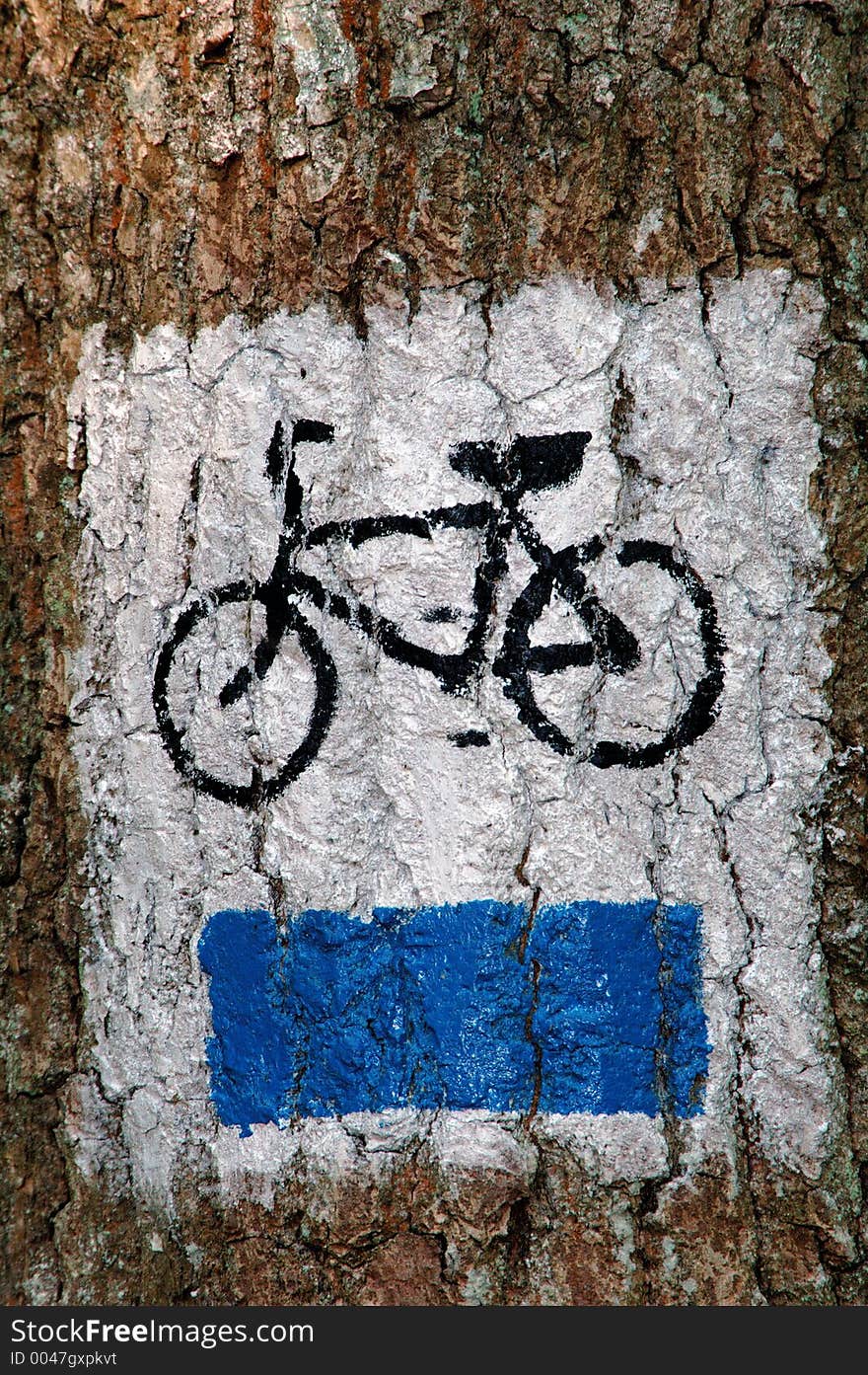 Bike trail sign painted on the tree,europe,poland