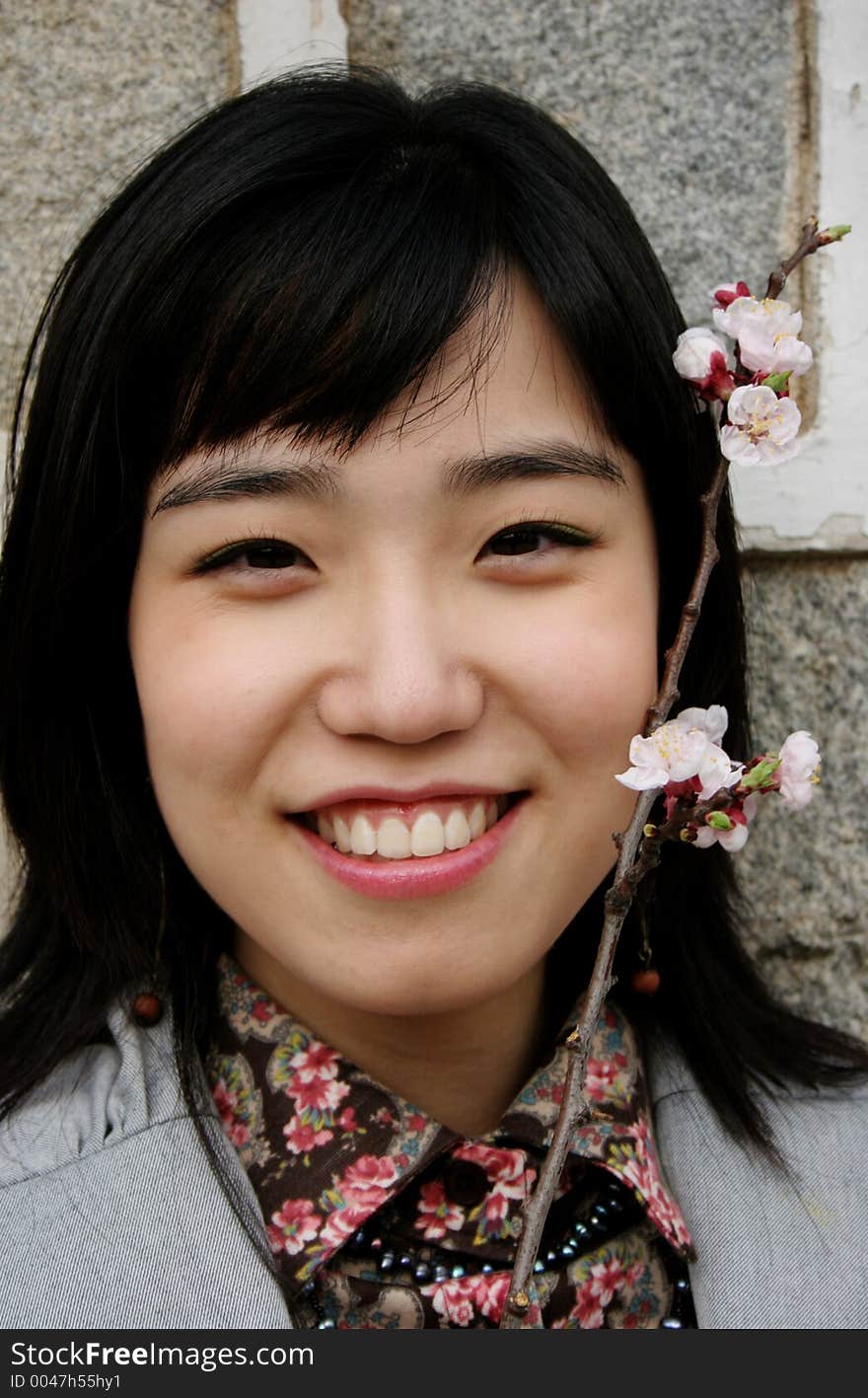 Korean girl with cherry blossoms. Korean girl with cherry blossoms