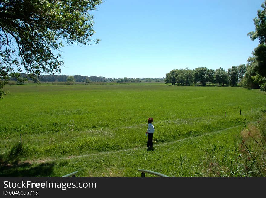 A pregnant woman on green field in a spring day. A pregnant woman on green field in a spring day