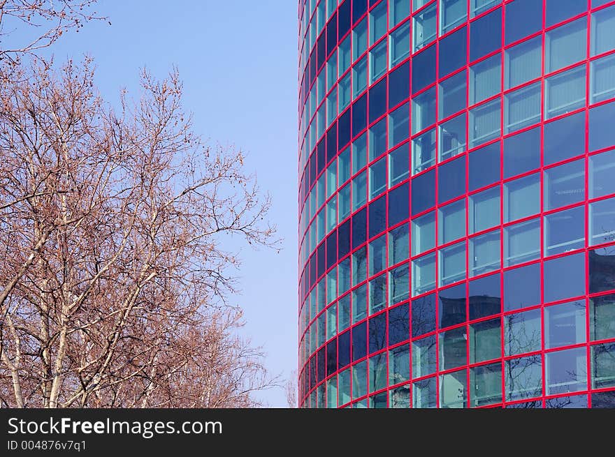 Blue and red windows with tree. Blue and red windows with tree