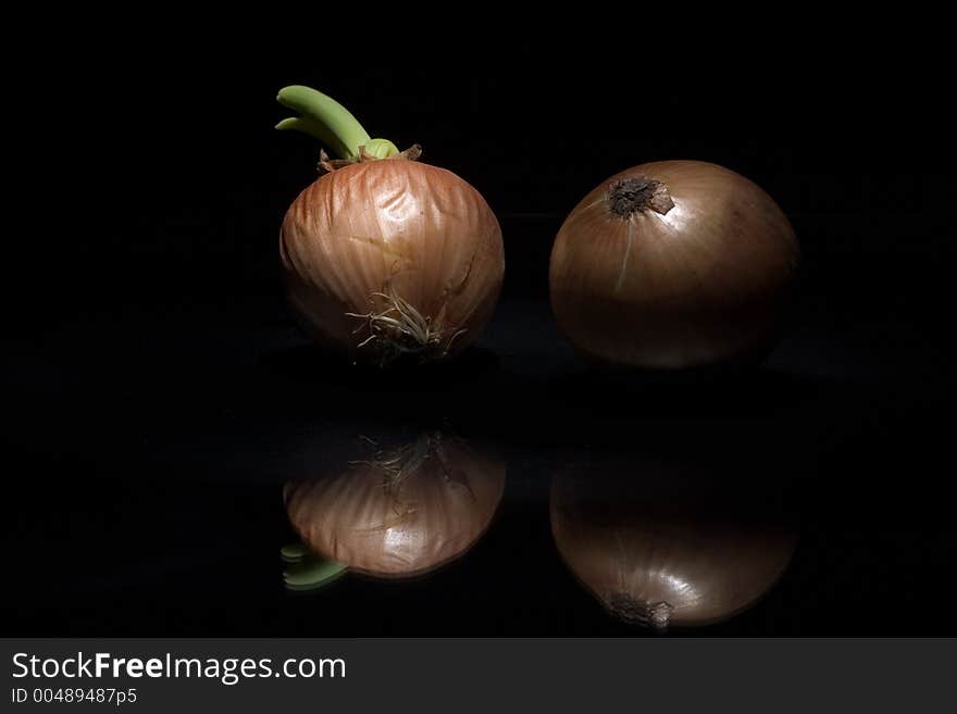 Two onion from dark. Two onion from dark