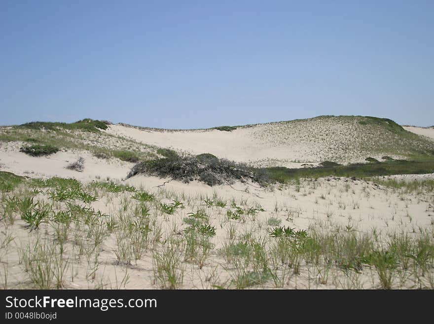 Dunes view