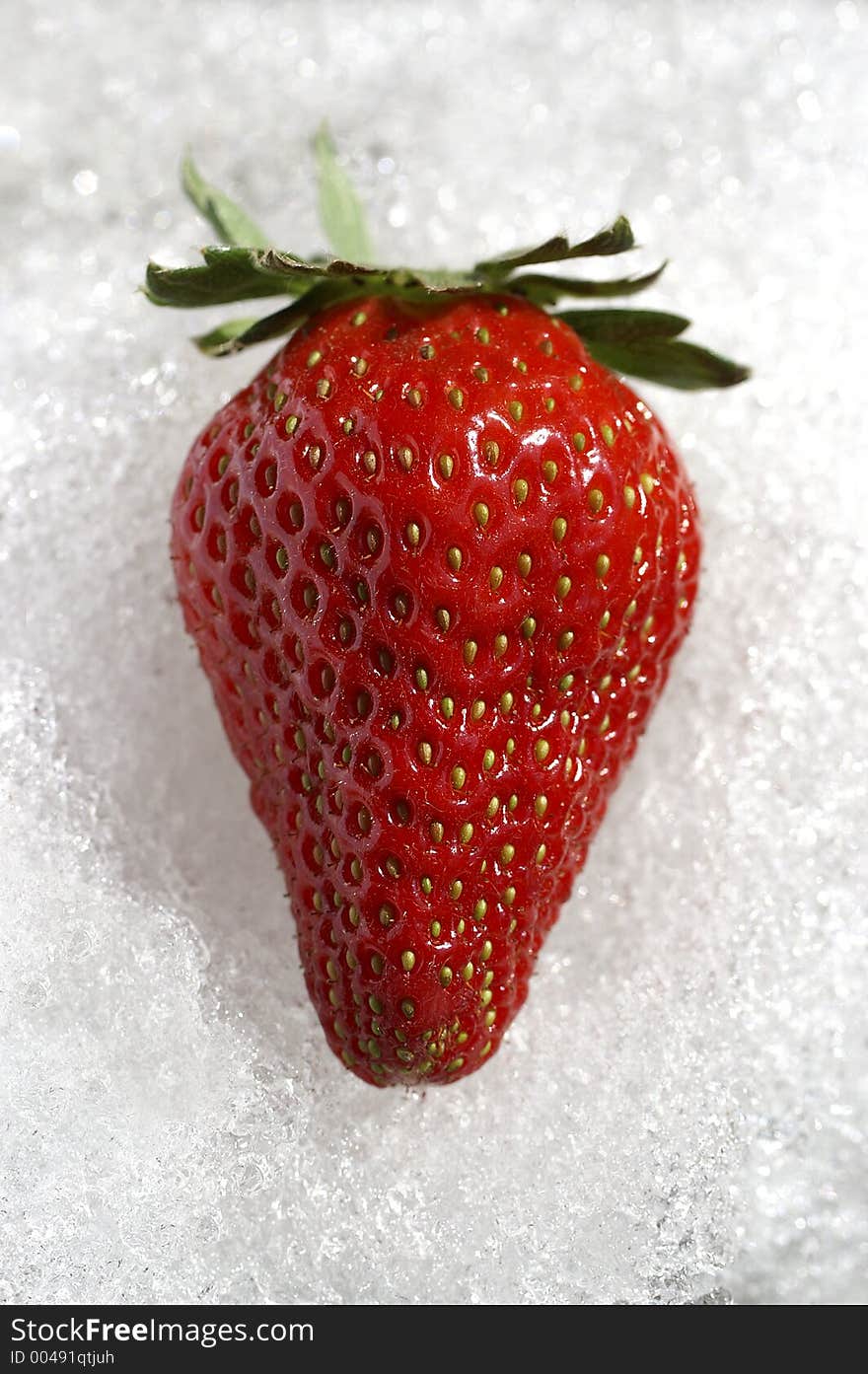 Strawberry on snow