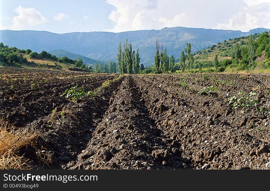 Tillage in the autumn in the Crimea, Ukraine. Tillage in the autumn in the Crimea, Ukraine