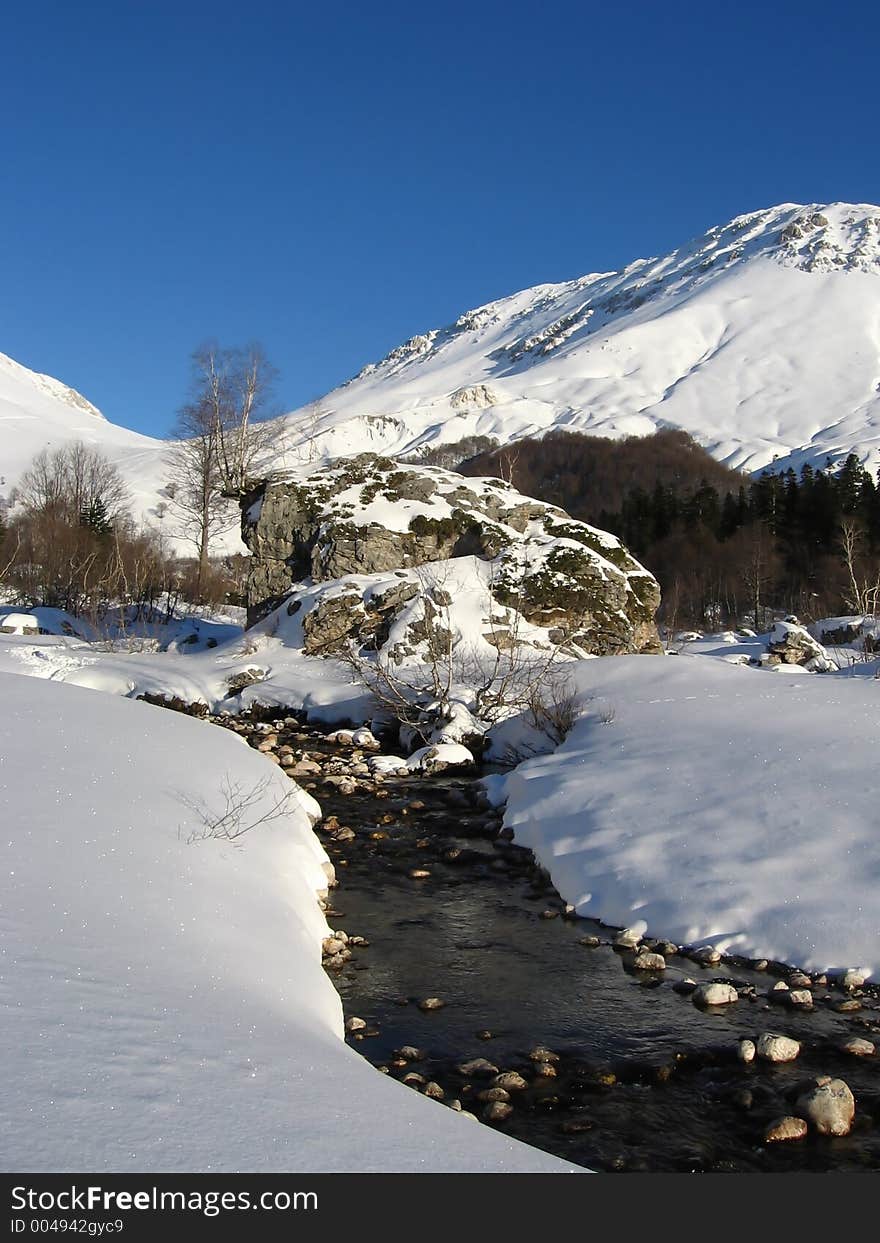 Winter Morning