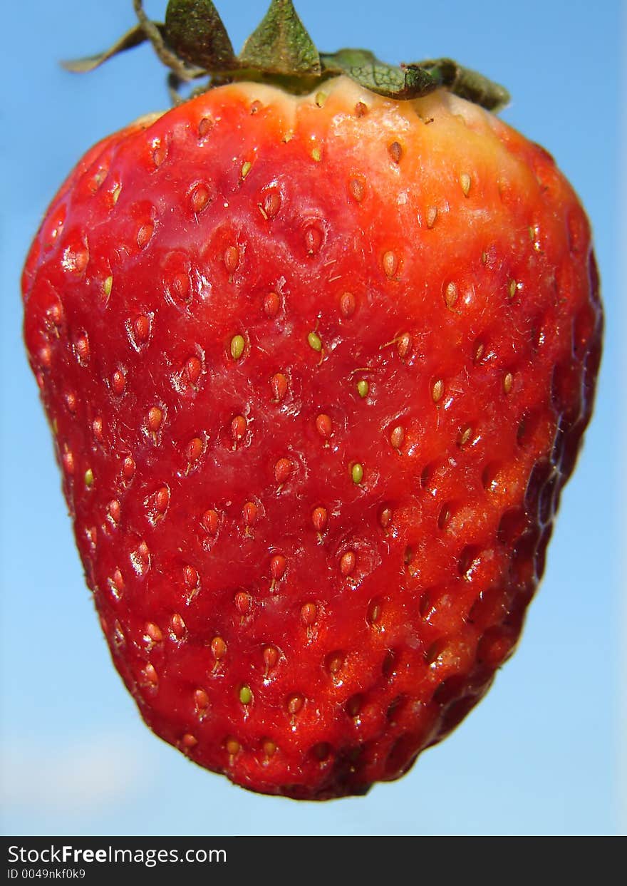 Natural grown strawberry on blue sky as background