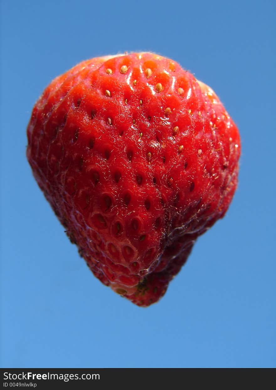 Natural grown strawberry on blue sky as background