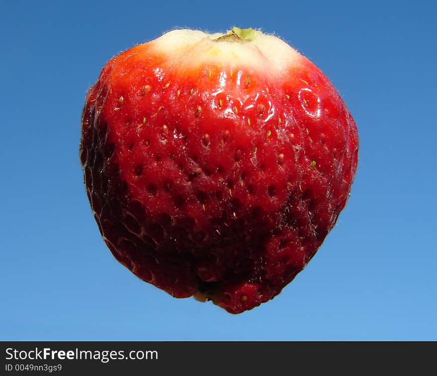 Natural grown strawberry on blue sky as background