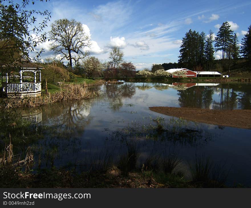 Pond top