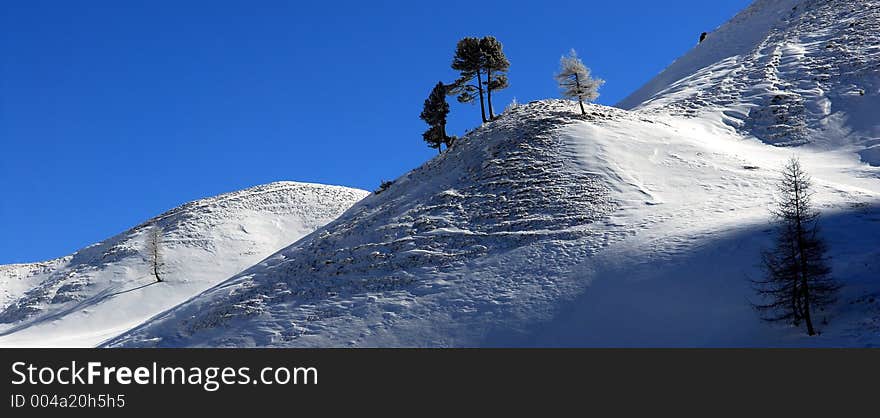 Snow Covered Hills With Tree