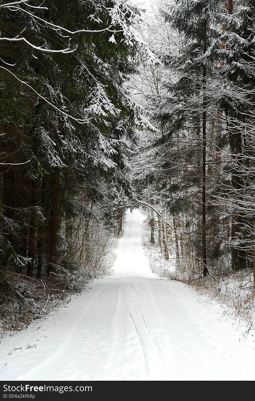 Road through a snow covered forest. Road through a snow covered forest