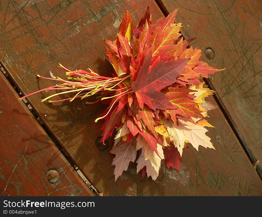 Maple lefs bouquet on unifor background - easy to isolate