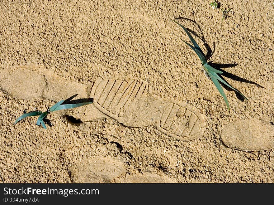 Different footprints in the sand on a Spanish beach with leaves poking through