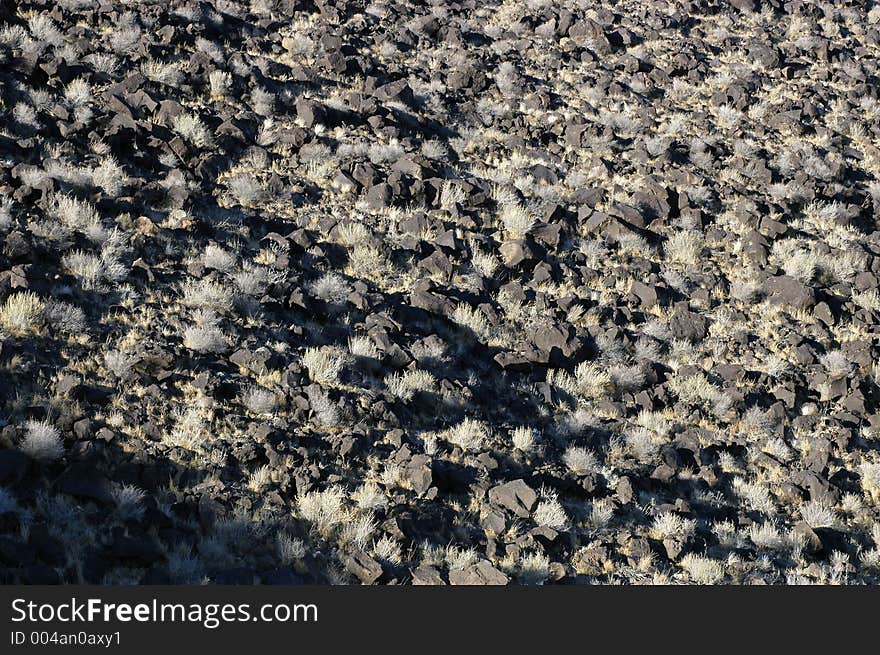 Low sun illuminates jagged black volcanic rocks with tufts of dry grass. Low sun illuminates jagged black volcanic rocks with tufts of dry grass