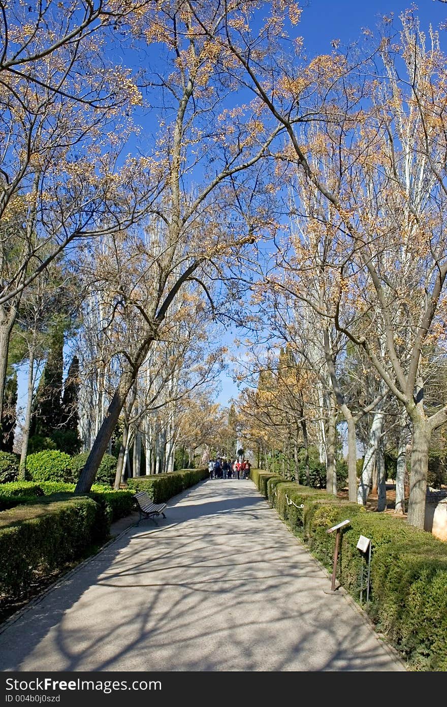 Gardens Of Alhambra Palace In Granada