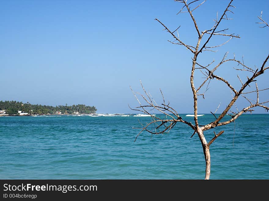 Beach at its best - (space for message)