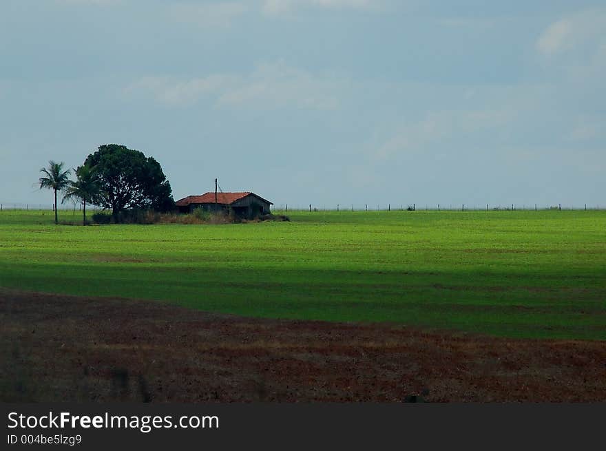 Home in the field