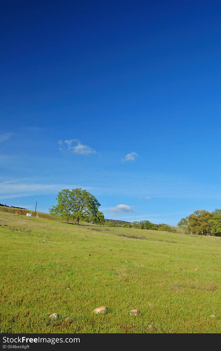 Springtime landscape