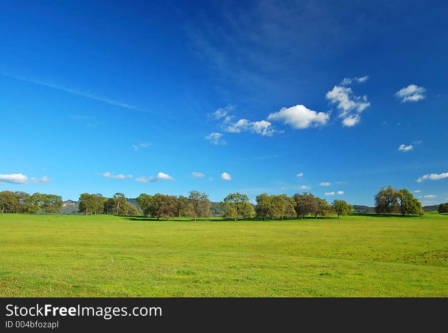 Springtime landscape