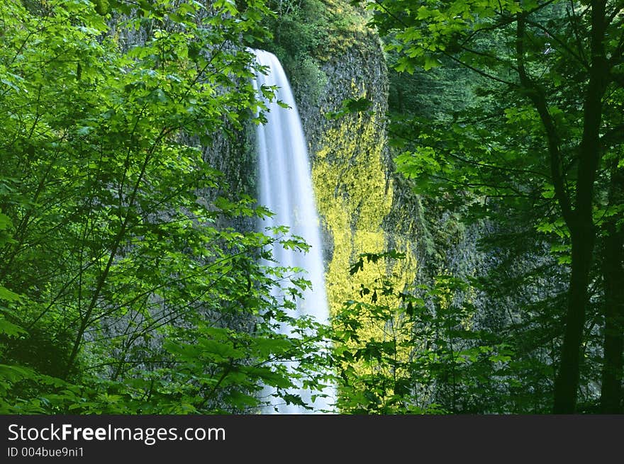 Latourell Falls