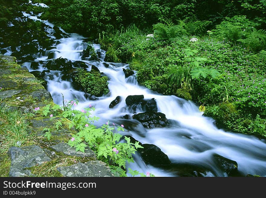 Near Wahkeena Falls, Columbia Gorge, OR. Near Wahkeena Falls, Columbia Gorge, OR.