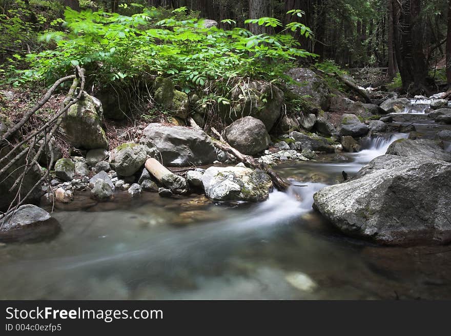 Flowing water through the forest, Limekiln State Park California. Flowing water through the forest, Limekiln State Park California