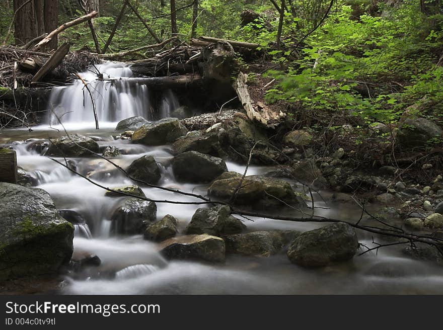 Flowing water through the forest, Limekiln State Park California. Flowing water through the forest, Limekiln State Park California