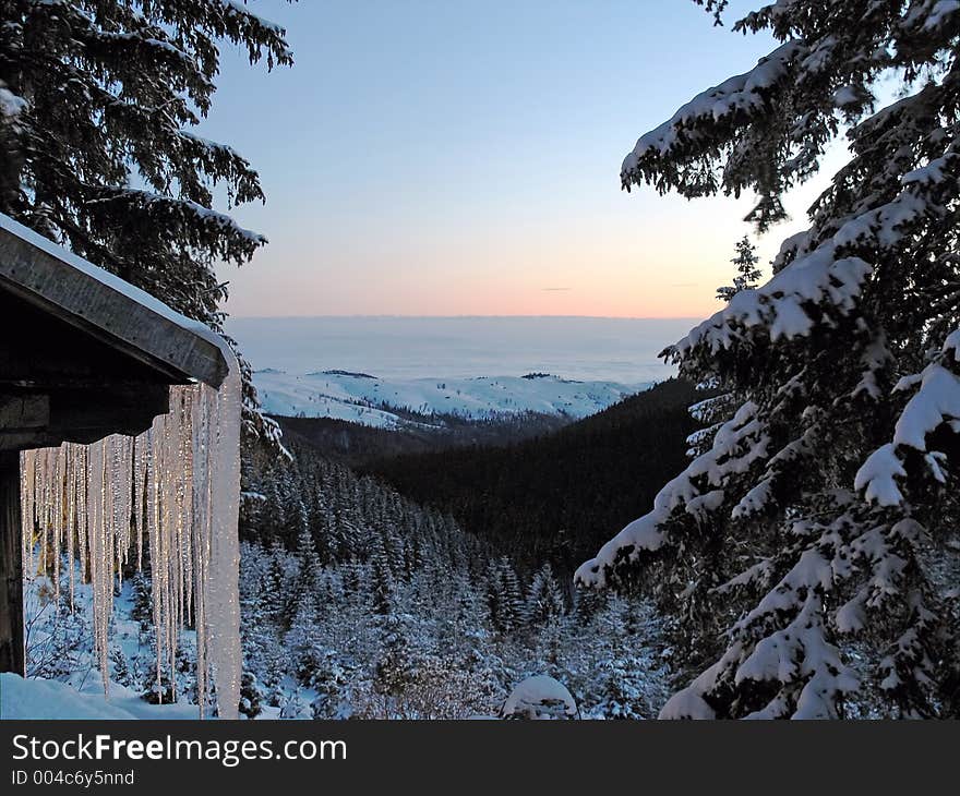 Frozen morning