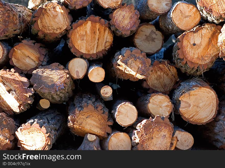 Sunny side view of a pile of logs