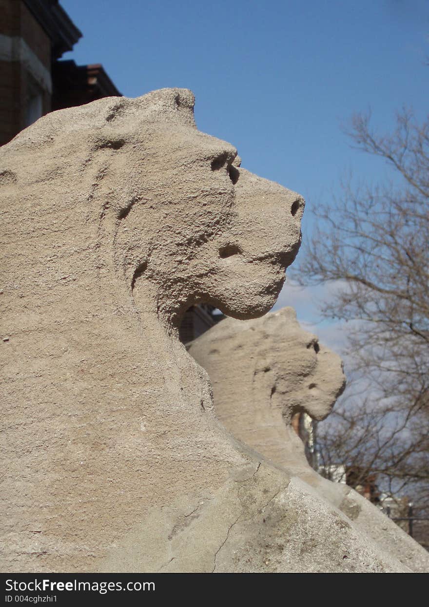 Stone lions stand sentry at the steps. Stone lions stand sentry at the steps.