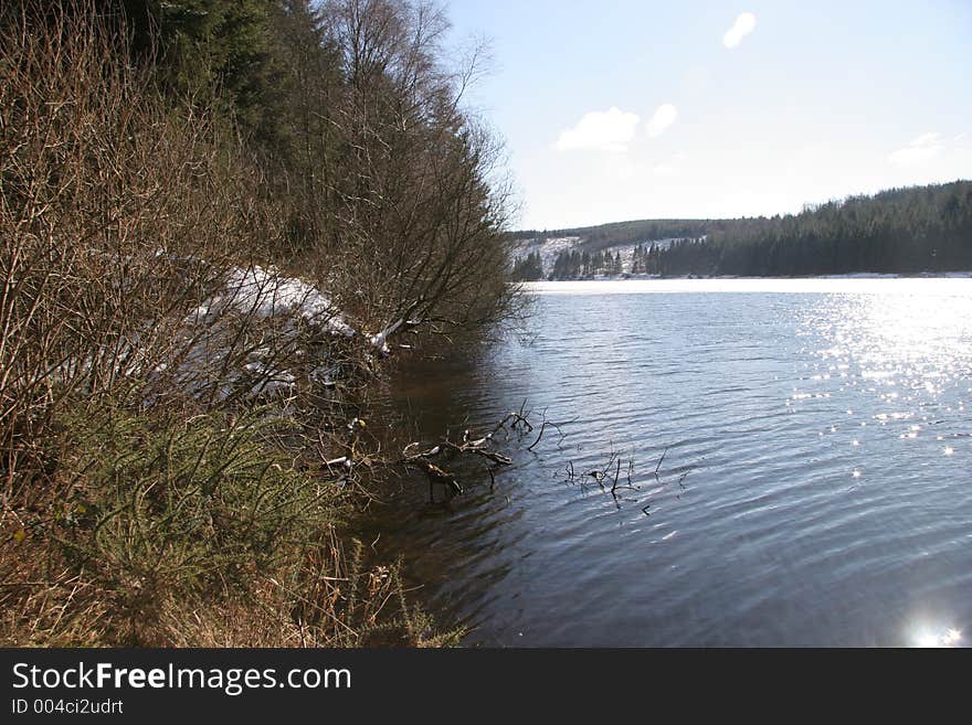 Lake and trees