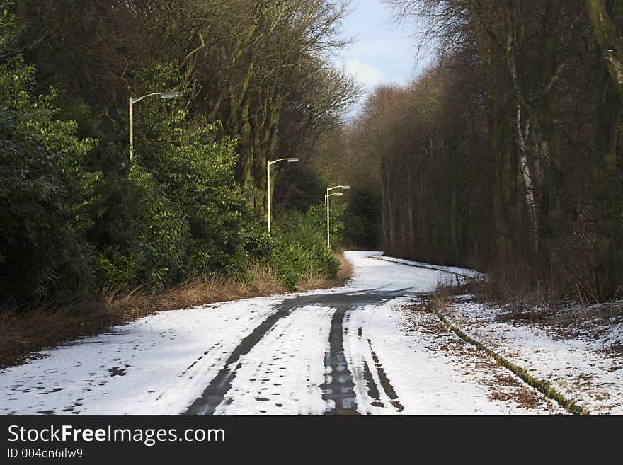 Tree lined lane with snow covered road. Tree lined lane with snow covered road