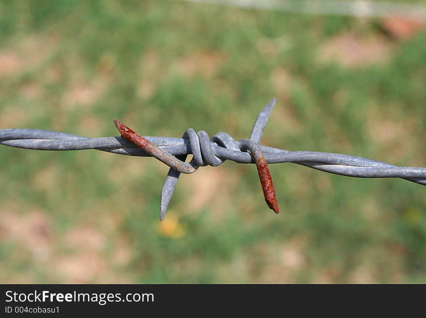 The rust wire on grass background.