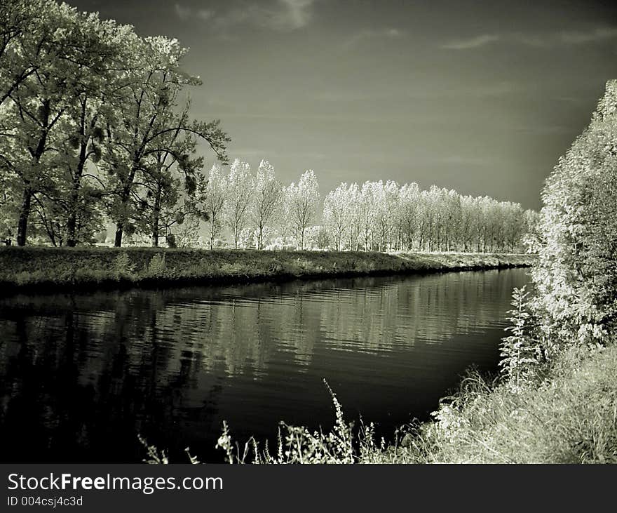 Water and trees (infra-red). Water and trees (infra-red)