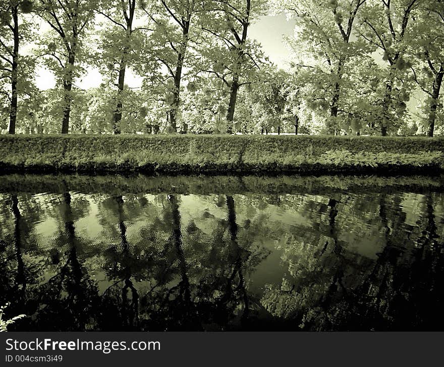 Reflections of a row of trees (infra-red). Reflections of a row of trees (infra-red)