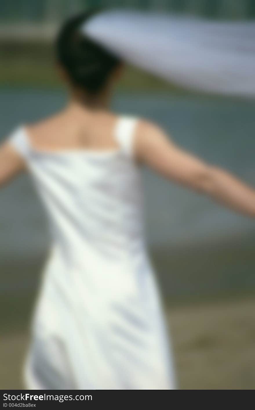 A shot of a bride from the back. The picture is taken at the ocean. The bride's arms are extended, and her veil is blowing in the wind.