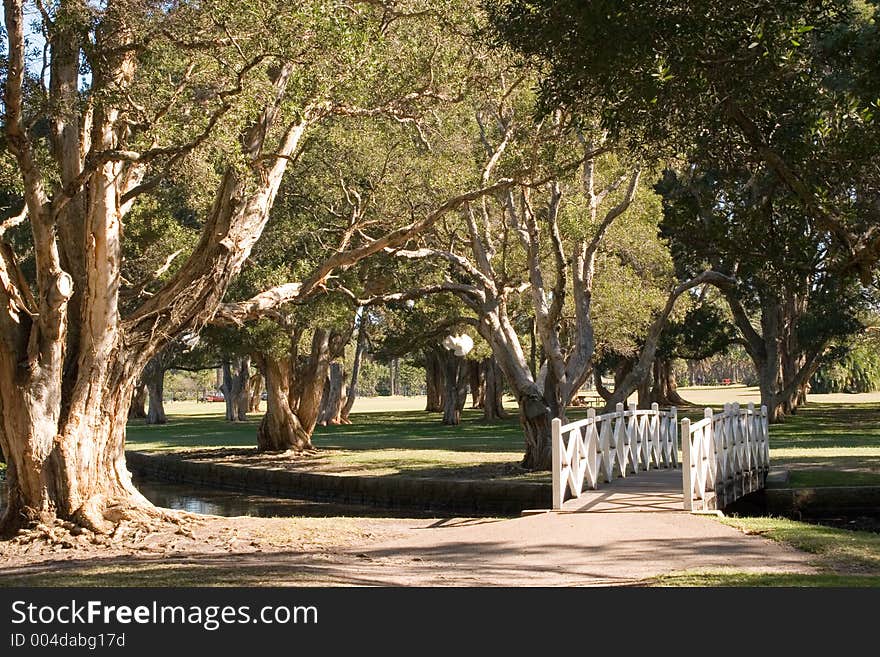 Sydney park - late morning. Bridge. Sydney park - late morning. Bridge.