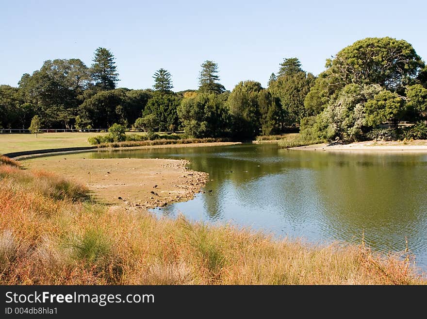 Sydney park - late morning. Sydney park - late morning.