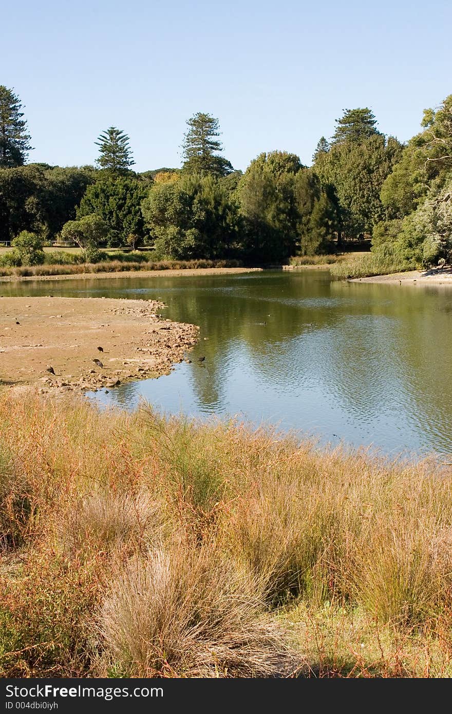 Sydney park - late morning. Sydney park - late morning.