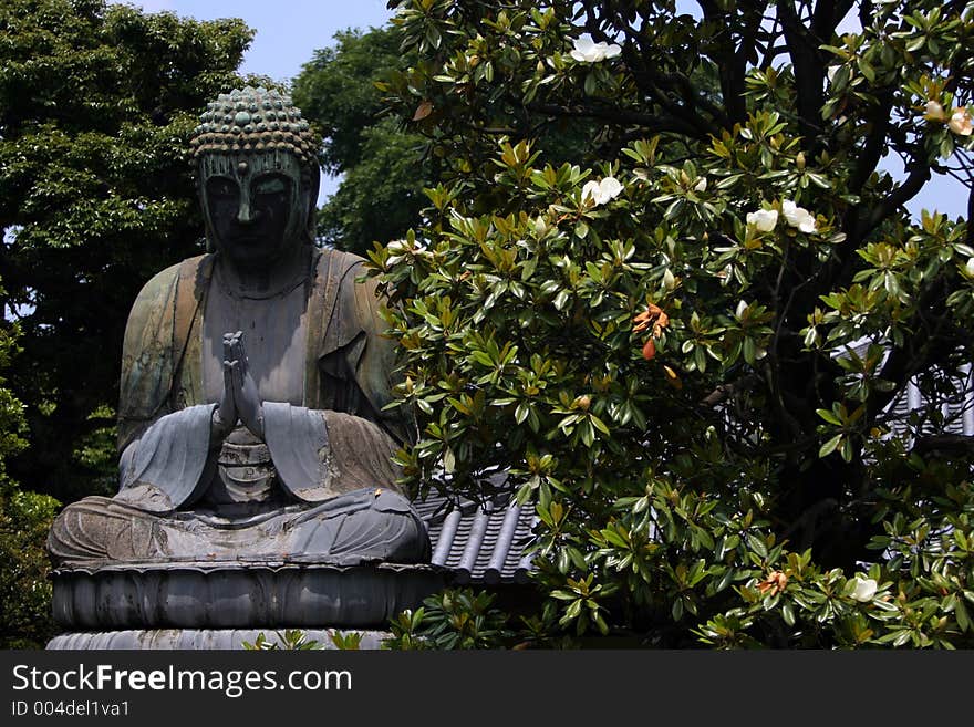 Buddha statue