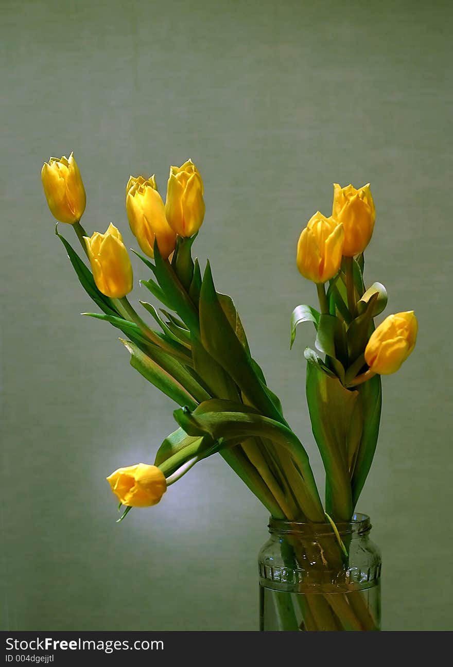 Bouquet of yellow tulips