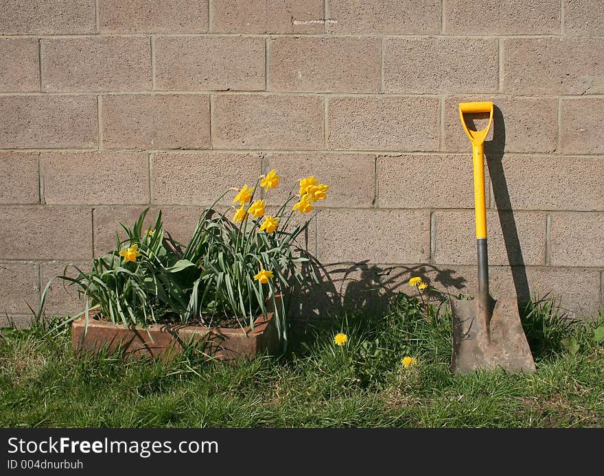 Yellow shovel and flowers. Yellow shovel and flowers