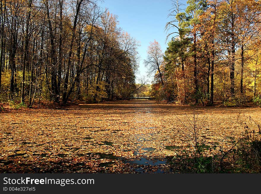 Autumn pond.