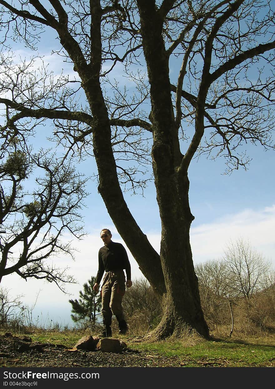 Walking of spring in Crimea