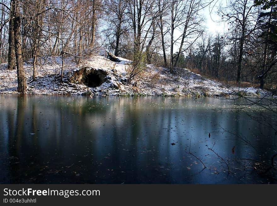 The first ice on a pond.