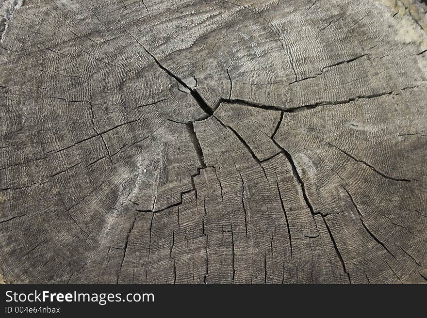 Old cracked wood