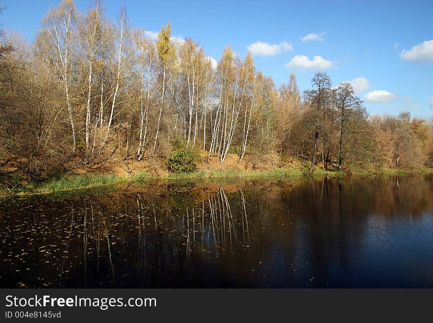 Autumn Landscape With Leaves And The River.