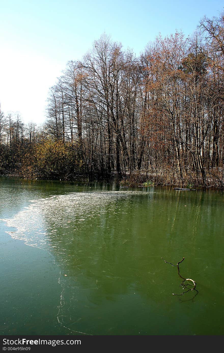 The first ice on a pond.