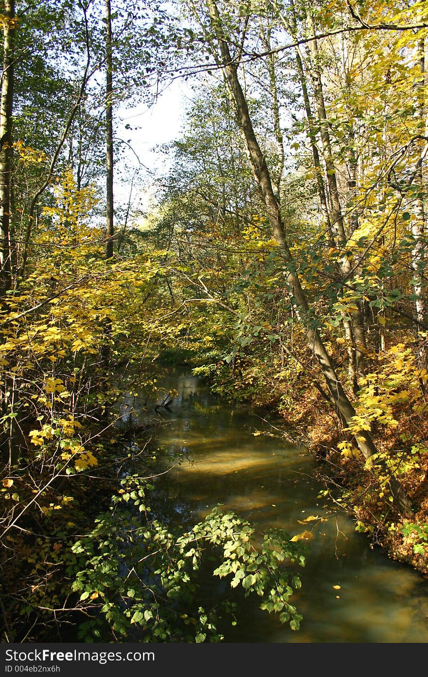 Autumn Park.