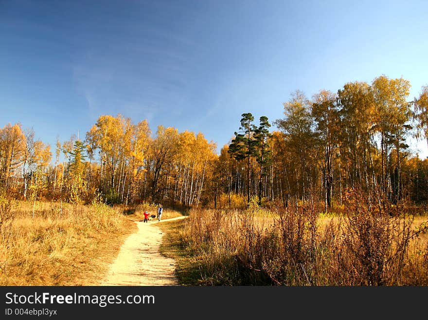 Autumn park.